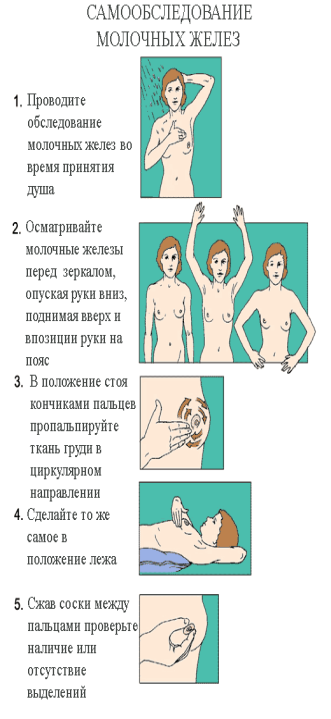 Коротко о раке молочной железы - RODITELI.UA