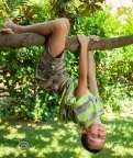 Kind, Das Auf Einem Baum Klettert Stockbild - Bild von person, park:  50791021