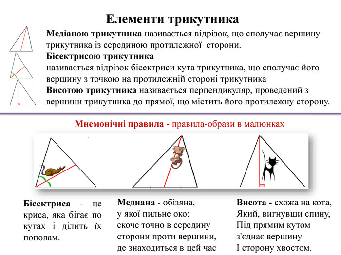 Медіаною трикутника називається відрізок, що сполучає вершину трикутника із серединою протилежної сторони. Бісектрисою трикутниканазивається відрізок бісектриси кута трикутника, що сполучає його вершину з точкою на протилежній стороні трикутника. Висотою трикутника називається перпендикуляр, проведений з вершини трикутника до прямої, що містить його протилежну сторону. Висота - схожа на кота,Який, вигнувши спину,Під прямим кутомз'єднає вершинуІ сторону хвостом. Мнемонічні правила - правила-образи в малюнках. Бісектриса - це криса, яка бігає по кутах і ділить їх пополам. Медиана - обізяна, у якої пильне око: скоче точно в середину сторони проти вершини, де знаходиться в цей час. Елементи трикутника