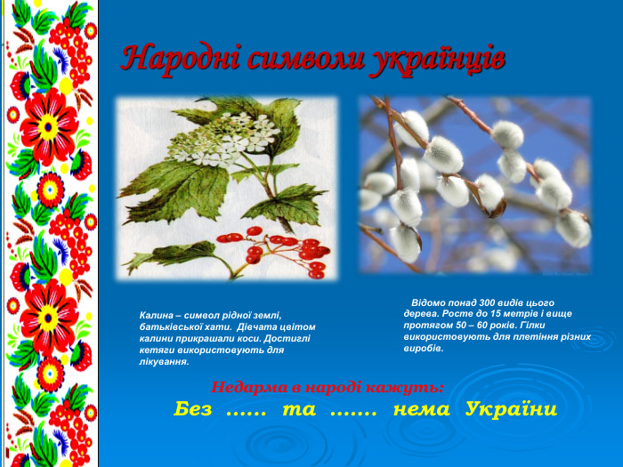 Народні символи українців Калина – символ рідної землі, батьківської хати.  Дівчата цвітом калини прикрашали коси. Достиглі кетяги використовують для лікування.                  Відомо понад 300 видів цього дерева. Росте до 15 метрів і вище протягом 50 – 60 років. Гілки використовують для плетіння різних виробів.                      Недарма в народі кажуть:       Без  .…..  та  …….  нема  України  