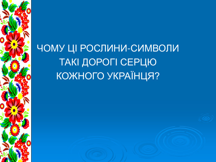 ЧОМУ ЦІ РОСЛИНИ-СИМВОЛИ ТАКІ ДОРОГІ СЕРЦЮ  КОЖНОГО УКРАЇНЦЯ?  
