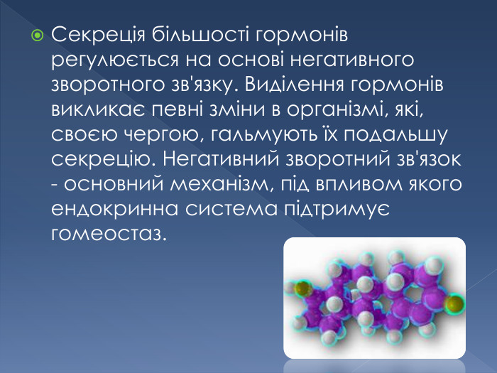Секреція більшості гормонів регулюється на основі негативного зворотного зв'язку. Виділення гормонів викликає певні зміни в організмі, які, своєю чергою, гальмують їх подальшу секрецію. Негативний зворотний зв'язок - основний механізм, під впливом якого ендокринна система підтримує гомеостаз.