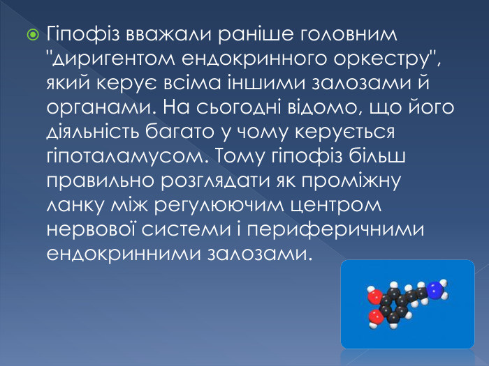 Гіпофіз вважали раніше головним 