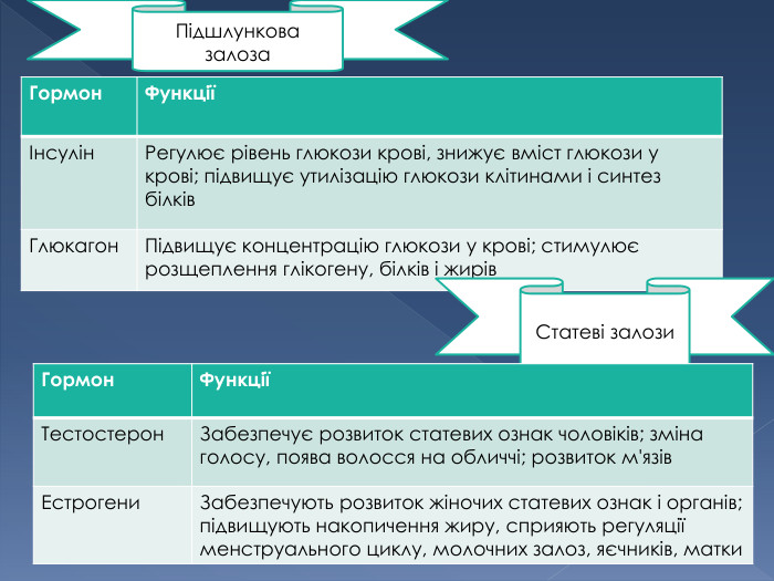{93296810-A885-4 BE3-A3 E7-6 D5 BEEA58 F35}Гормон. ФункціїІнсулін. Регулює рівень глюкози крові, знижує вміст глюкози у крові; підвищує утилізацію глюкози клітинами і синтез білків. Глюкагон. Підвищує концентрацію глюкози у крові; стимулює розщеплення глікогену, білків і жирів. Підшлункова залоза. Статеві залози{93296810-A885-4 BE3-A3 E7-6 D5 BEEA58 F35}Гормон. ФункціїТестостерон. Забезпечує розвиток статевих ознак чоловіків; зміна голосу, поява волосся на обличчі; розвиток м'язів. Естрогени. Забезпечують розвиток жіночих статевих ознак і органів; підвищують накопичення жиру, сприяють регуляції менструального циклу, молочних залоз, яєчників, матки