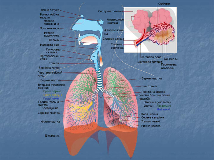 Як поліпшити стан дихання при болі