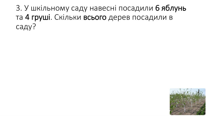 3. У шкільному саду навесні посадили 6 яблунь та 4 груші. Скільки всього дерев посадили в саду?