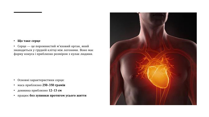 Що таке серце. Серце — це порожнистий м’язовий орган, який знаходиться у грудній клітці між легенями. Воно має форму конуса і приблизно розміром з кулак людини. Основні характеристики серця:маса приблизно 250–350 грамівдовжина приблизно 12–13 смпрацює без зупинки протягом усього життя