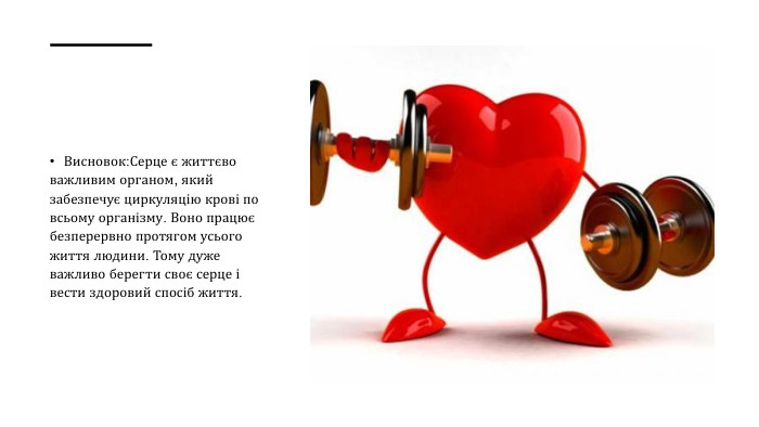 Висновок: Серце є життєво важливим органом, який забезпечує циркуляцію крові по всьому організму. Воно працює безперервно протягом усього життя людини. Тому дуже важливо берегти своє серце і вести здоровий спосіб життя.