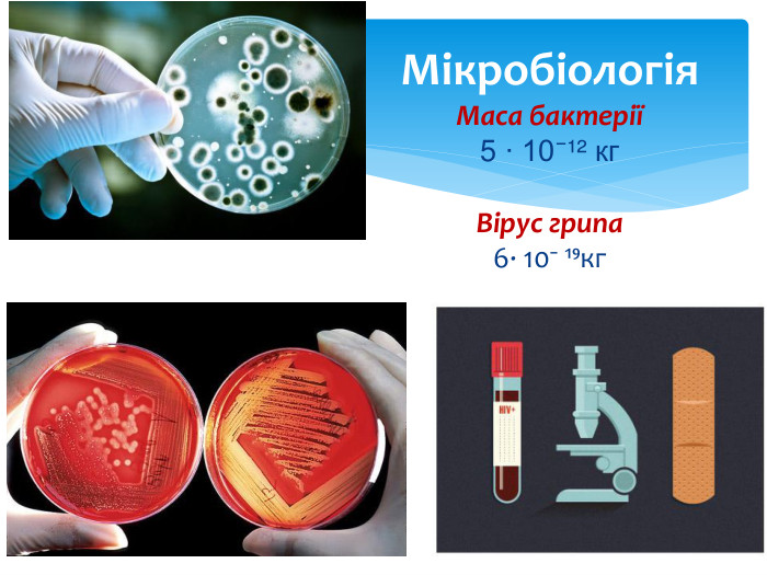 Мікробіологія Маса бактерії 5 ∙ 10⁻¹² кг. Вірус грипа6∙ 10⁻ ¹⁹кг