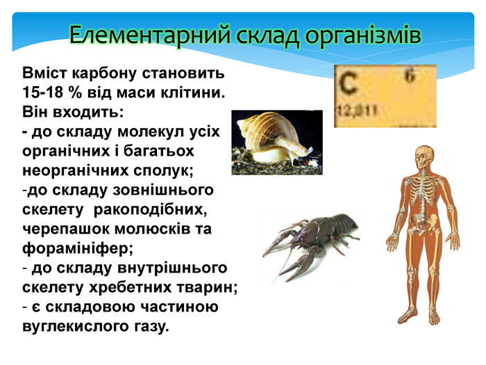 Курсовая работа по теме Біологічна роль марганцю в організмі людини і тварин