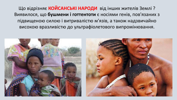 Що відрізняє КОЙСАНСЬКІ НАРОДИ від інших жителів Землі ? Виявилося, що бушмени і готтентоти є носіями генів, пов'язаних з підвищеною силою і витривалістю м'язів, а також надзвичайно високою вразливістю до ультрафіолетового випромінювання.