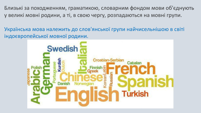 Близькі за походженням, граматикою, словарним фондом мови об'єднують у великі мовні родини, а ті, в свою чергу, розпадаються на мовні групи. Українська мова належить до слов'янської групи найчисельнішою в світі індоєвропейської мовної родини.
