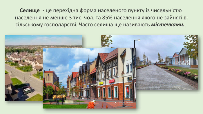Селище - це перехідна форма населеного пункту із чисельністю населення не менше 3 тис. чол. та 85% населення якого не зайняті в сільському господарстві. Часто селища ще називають містечками. 