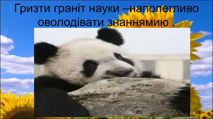  Гризти граніт науки –наполегливо оволодівати знаннямию .