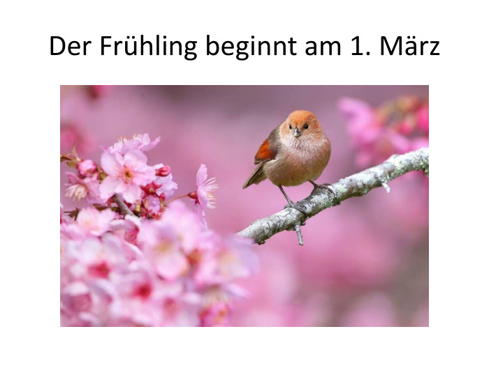 Der Frühling beginnt am 1. März