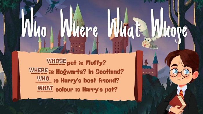 Who. Where. What. Whose_____ pet is Fluffy?_____ is Hogwarts? In Scotland?_____ is Harry's best friend?_____ colour is Harry's pet?WHOWHEREWHATWHOSE