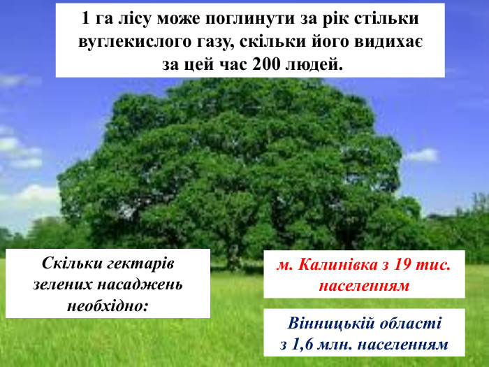 Скільки гектарів зелених насаджень необхідно:  1 га лісу може поглинути за рік стільки вуглекислого газу, скільки його видихає  за цей час 200 людей. м. Калинівка з 19 тис. населенням Вінницькій області  з 1,6 млн. населенням 