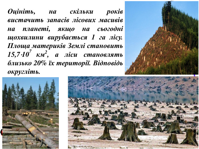 Оцініть, на скільки років вистачить запасів лісових масивів на планеті, якщо на сьогодні щохвилини вирубається 1 га лісу. Площа материків Землі становить 15,7107 км2, а ліси становлять близько 20% їх території. Відповідь округліть.  