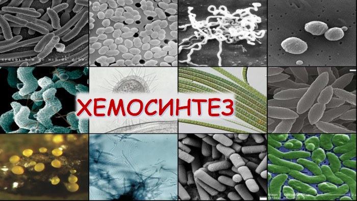 ХЕМОСИНТЕЗ