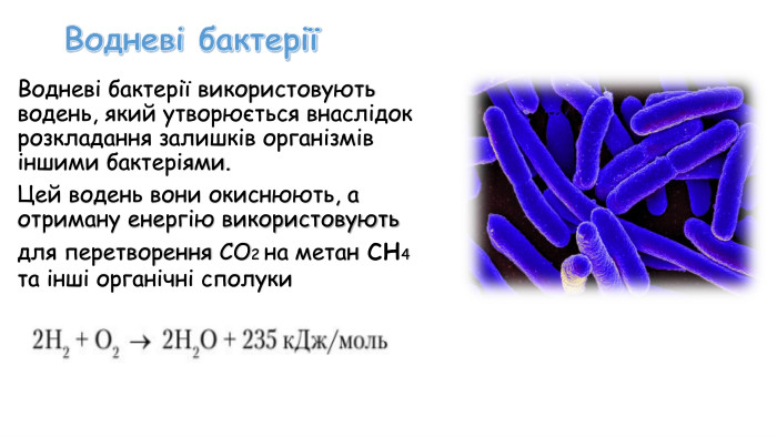 Водневі бактеріїВодневі бактерії використовують водень, який утворюється внаслідок розкладання залишків організмів іншими бактеріями. Цей водень вони окиснюють, а отриману енергію використовують для перетворення CO2 на метан сн4 та інші органічні сполуки 