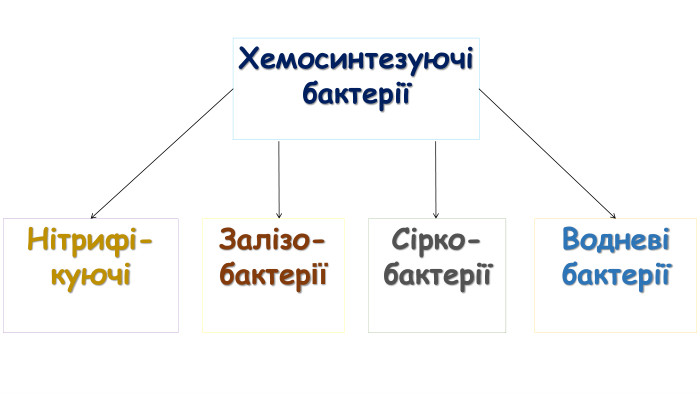 Хемосинтезуючі бактеріїСірко-бактерії Нітрифі-куючі Залізо-бактерії Водневі бактерії 