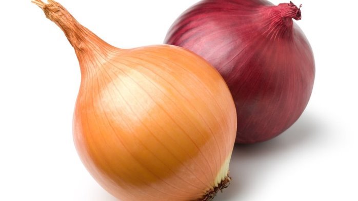 Картинки по запросу "onions"