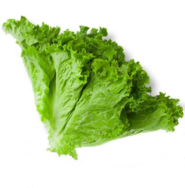 Картинки по запросу "lettuce"