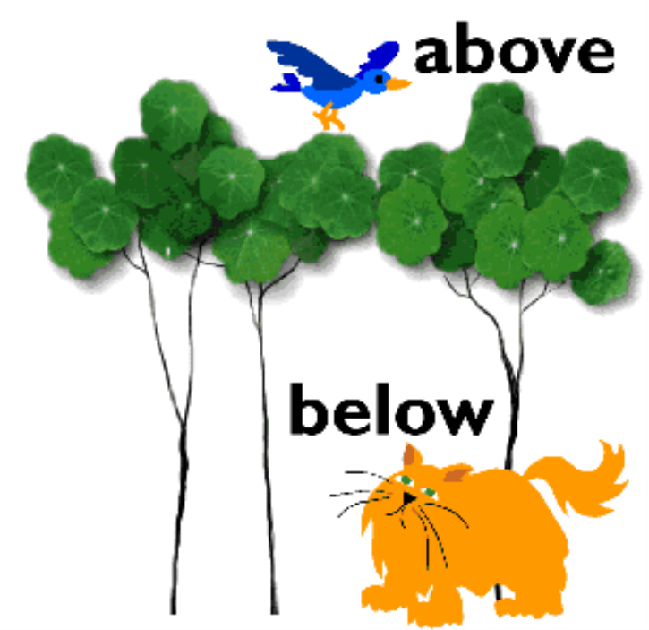 Above word. Предлог above. Above below. Предлоги above и below. Below предлог.