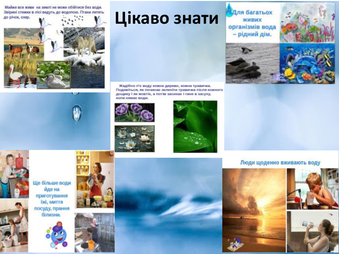  Цікаво знати 
