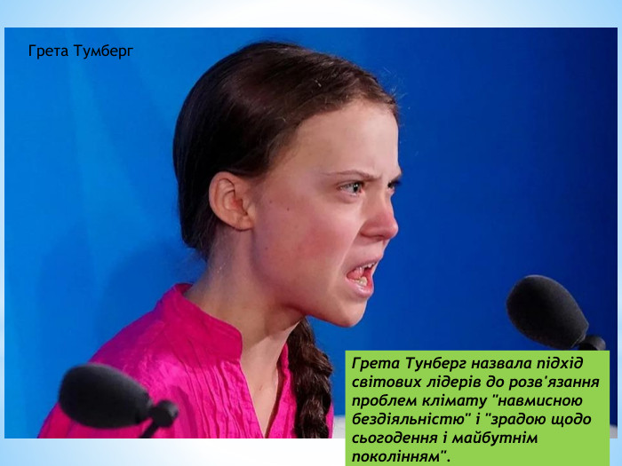 Грета Тумберг. Грета Тунберг назвала підхід світових лідерів до розв'язання проблем клімату 