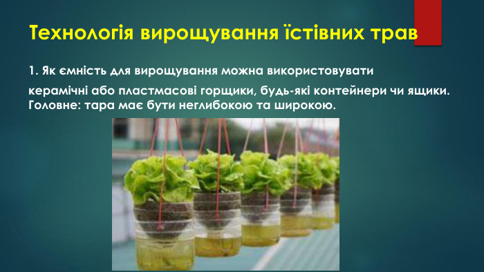 Технологія вирощування їстівних трав1. Як ємність для вирощування можна використовуватикерамічні або пластмасові горщики, будь-які контейнери чи ящики. Головне: тара має бути неглибокою та широкою.