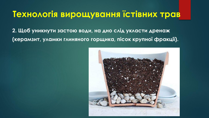 Технологія вирощування їстівних трав2. Щоб уникнути застою води, на дно слід укласти дренаж(керамзит, уламки глиняного горщика, пісок крупної фракції).