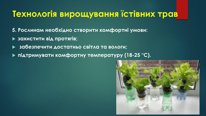 Технологія вирощування їстівних трав5. Рослинам необхідно створити комфортні умови:захистити від протягів; забезпечити достатньо світла та вологи;підтримувати комфортну температуру (18-25 °С).