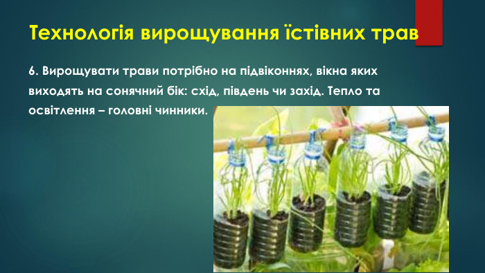 Технологія вирощування їстівних трав6. Вирощувати трави потрібно на підвіконнях, вікна якихвиходять на сонячний бік: схід, південь чи захід. Тепло та освітлення – головні чинники.