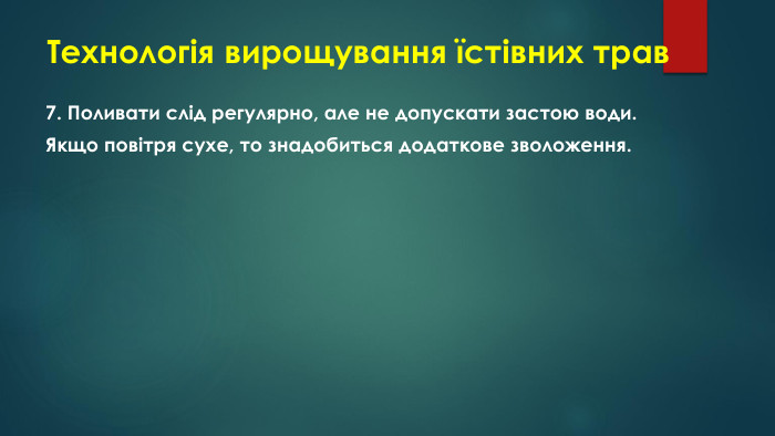 Технологія вирощування їстівних трав7. Поливати слід регулярно, але не допускати застою води. Якщо повітря сухе, то знадобиться додаткове зволоження.