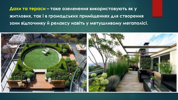 Дахи та тераси – таке озеленення використовують як ужитлових, так і в громадських приміщеннях для створеннязони відпочинку й релаксу навіть у метушливому мегаполісі.