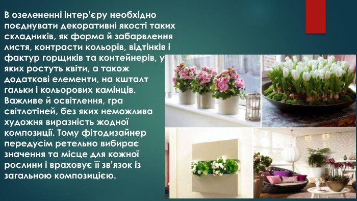 В озелененні інтер’єру необхідно поєднувати декоративні якості таких складників, як форма й забарвлення листя, контрасти кольорів, відтінків і фактур горщиків та контейнерів, у яких ростуть квіти, а також додаткові елементи, на кшталт гальки і кольорових камінців. Важливе й освітлення, гра світлотіней, без яких неможлива художня виразність жодної композиції. Тому фітодизайнер передусім ретельно вибирає значення та місце для кожної рослини і враховує її зв’язок із загальною композицією.