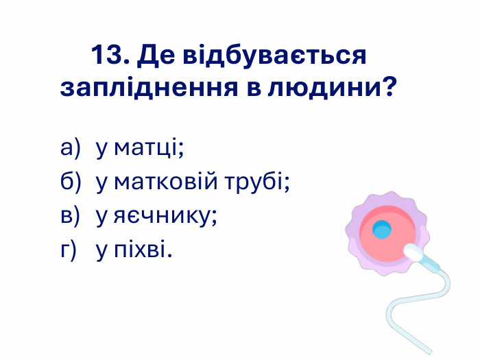 13. Де відбувається запліднення в людини? а) у матці; б) у матковій трубі;  в) у яєчнику; г) у піхві.  