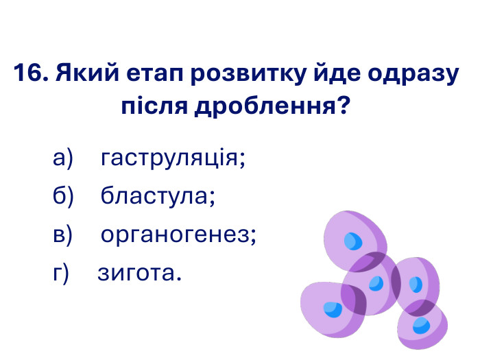 16. Який етап розвитку йде одразу після дроблення? а) гаструляція; б) бластула;  в) органогенез; г)      зигота. 