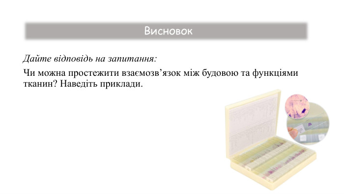 Дайте відповідь на запитання: Чи можна простежити взаємозв’язок між будовою та функціями тканин? Наведіть приклади. Висновок