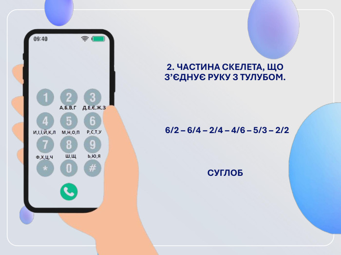 2. ЧАСТИНА СКЕЛЕТА, ЩО З’ЄДНУЄ РУКУ З ТУЛУБОМ. 6/2 – 6/4 – 2/4 – 4/6 – 5/3 – 2/2   СУГЛОБ  