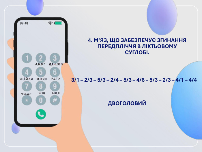 4. М’ЯЗ, ЩО ЗАБЕЗПЕЧУЄ ЗГИНАННЯ ПЕРЕДПЛІЧЧЯ В ЛІКТЬОВОМУ СУГЛОБІ.  3/1 – 2/3 – 5/3 – 2/4 – 5/3 – 4/6 – 5/3 – 2/3 – 4/1 – 4/4   ДВОГОЛОВИЙ 