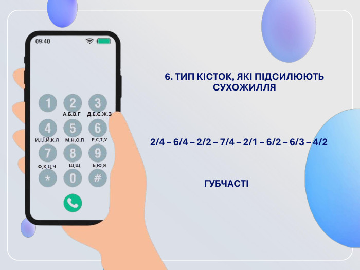 6. ТИП КІСТОК, ЯКІ ПІДСИЛЮЮТЬ СУХОЖИЛЛЯ  2/4 – 6/4 – 2/2 – 7/4 – 2/1 – 6/2 – 6/3 – 4/2   ГУБЧАСТІ 