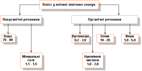 http://shkola.ostriv.in.ua/images/publications/4/1366/content/bilok.gif