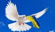 C:\Documents and Settings\User\Рабочий стол\голубь и флаг Украины.jpg