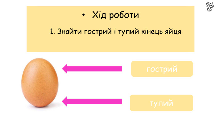 Хід роботи1. Знайти гострий і тупий кінець яйцягострийтупий