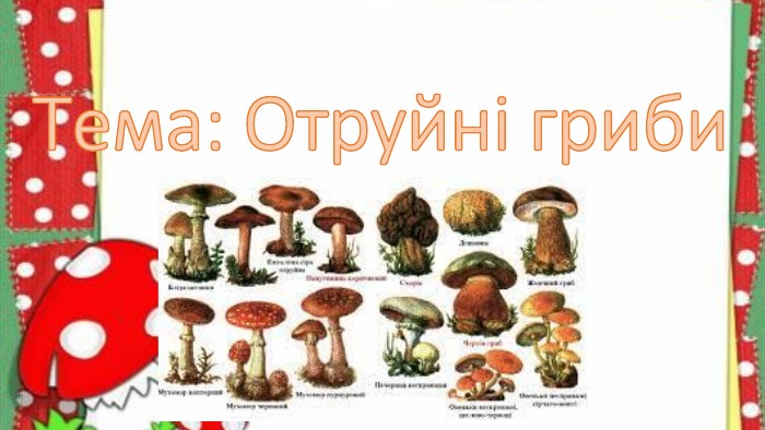 Тема: Отруйні гриби