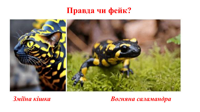 Правда чи фейк?Зміїна кішка Вогняна саламандра