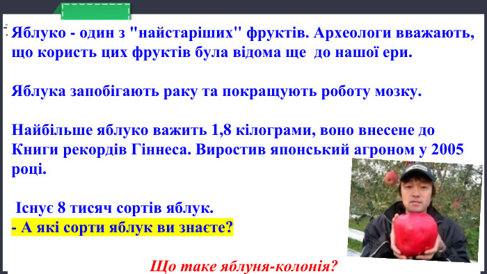 26.11.2024 Яблуко - один з 