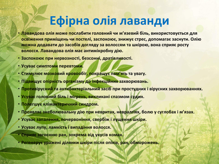 Ефірна олія лаванди. Лавандова олія може послабити головний чи м’язевий біль, використовується для освіження приміщень чи постелі, заспокоює, знижує стрес, допомагає заснути. Олію можна додавати до засобів догляду за волоссям та шкірою, вона сприяє росту волосся. Лавандова олія має антимікробну дію. Заспокоює при нервозності, безсонні, дратівливості. Усуває симптоми перевтоми. Стимулює мозковий кровообіг, покращує пам’ять та увагу. Підвищує опірність організму до інфекційних захворювань. Противірусний та антибактеріальний засіб при простудних і вірусних захворюваннях. Усуває головний біль і мігрень, викликані спазмом судин. Полегшує клімактеричний синдром. Проявляє знеболювальну дію при невритах, невралгіях, болю у суглобах і м’язах. Усуває запалення, почервоніння, свербіж і лущення шкіри. Усуває лупу, ламкість і випадіння волосся. Сприяє загоєнню ран, зокрема від укусів комах. Регенерує уражені ділянки шкіри після опіків, ран, обморожень.